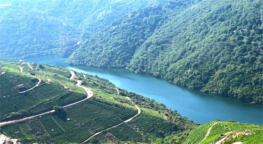 Ribeira Sacra