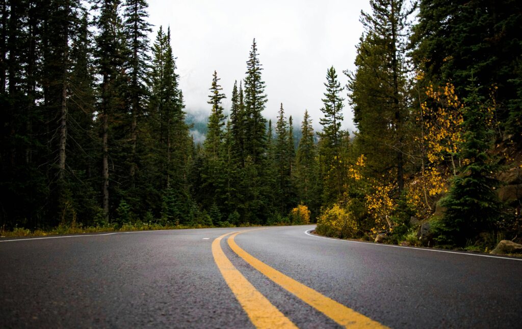 Empty winding road through a scenic forest with fall foliage, perfect for travel inspiration.